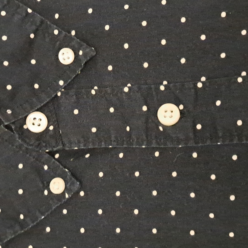 J. Crew Blue and White Polka Dot Short Sleeve Shirt - Picture 3 of 4